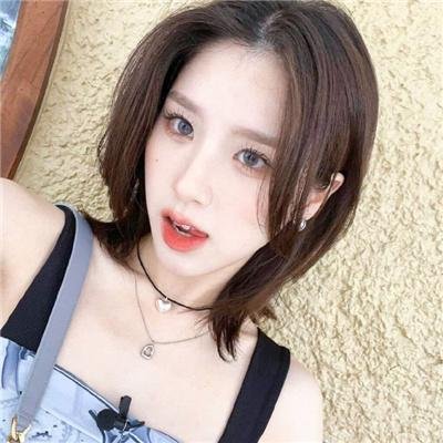征服北极的人